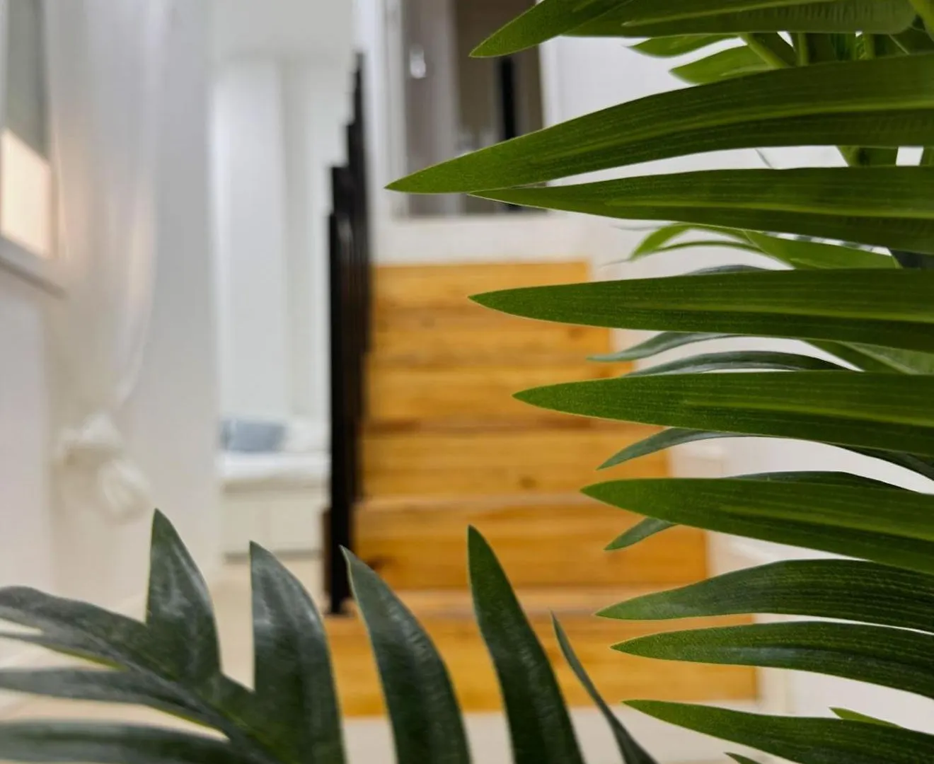 Apartamento Interior Algeciras -Hawkins Costa 1B